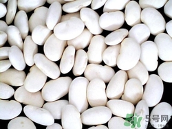 白芸豆的营养价值和食用功效,芸豆的功效和作用及营养