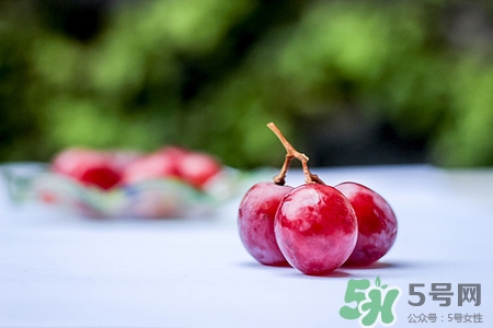 黑提和红提的区别,红提好还是黑提好 黑提和红提的区别,红提好还是黑提好