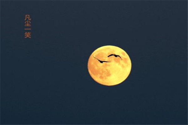 中秋吃螃蟹要注意什么(秋天吃螃蟹的注意事项)