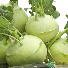 苤蓝怎么吃最好,苤蓝怎么吃最有营养价值 苤蓝怎么吃最好,苤蓝怎么吃最有营养价值