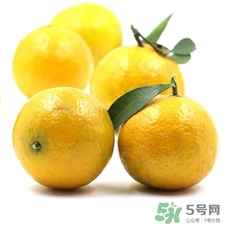 吃皇帝柑的好处和坏处,皇帝柑哪里的最好吃