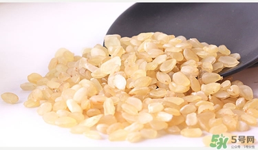 孕妇能不能吃皂角米,孕妇能不能吃皂角米和雪燕