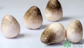 草菇的营养价值及功效和作用,香菇有什么营养