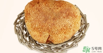 猴头菇怎么吃最养胃和功效,猴头菇如何吃最好