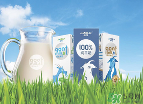 喝鲜牛奶有什么坏处,常喝鲜牛奶的好处和坏处