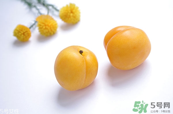 黄杏的营养价值和功效和作用,黄杏的功效和作用 黄杏的营养价值和功效和作用,黄杏的功效和作用