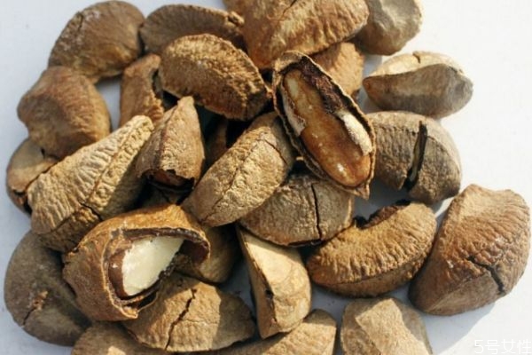 鲍鱼果的功效和作用及营养价值,海参果的作用和功效