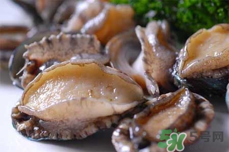 宝宝多大可以吃鲍鱼粥,宝宝多大可以吃鲍鱼