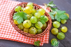 灯笼果吃多了会怎么样?,灯笼果可以多吃吗