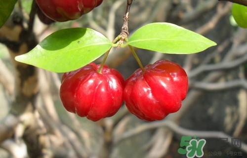 女性经期饮食注意事项,女性月经饮食和健康小知识