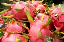 火龙果和猕猴桃一起吃能减肥吗,火龙果煮水喝可以减肥吗