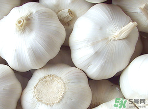 大蒜的食用功效,食用大蒜的功效和作用