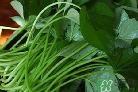 红薯有哪些营养价值和功效,吃红薯有哪些营养和功效 红薯有哪些营养价值和功效,吃红薯有哪些营养和功效