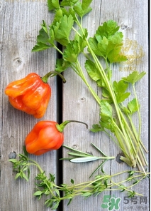 阿奇果怎么吃,阿奇怎么吃法