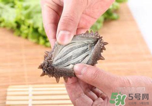 海参筋能吃吗,海参筋是什么