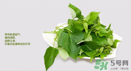 红薯叶的营养价值及功效和作用,红薯有哪些营养价值和功效