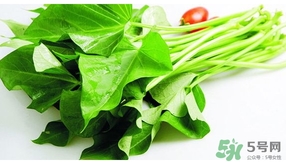 红薯叶的梗能吃吗,地瓜叶的梗能吃吗