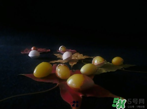 微波炉白果的做法,白果可以微波炉加热吗