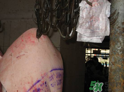 猪肉上的印章是什么成分,猪肉上的印章代表什么? 猪肉上的印章是什么成分,猪肉上的印章代表什么?