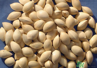 白果怎么保存不会坏,白果怎么保存好