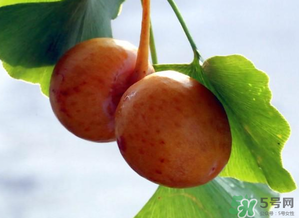 白果的吃法和功效,白果的吃法和食用禁忌介绍