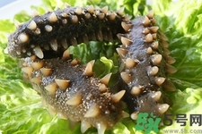 海参的正确吃法,我们需要注意这些,海参和哪些食物相克