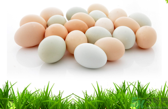 正宗土鸡蛋哪里有卖,土鸡蛋图片