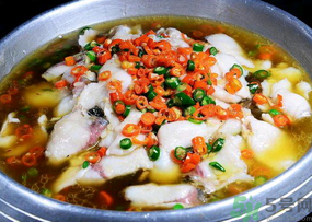 黑鱼的营养价值及功效,黑鱼的营养价值及功效和禁忌