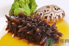 海参每天吃几个合适,海参一天吃多少最好