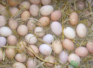 鸡蛋的营养价值有哪些,鸡蛋的营养价值及功效和作用