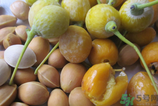 新鲜白果怎么保存不会坏,水果怎样保鲜