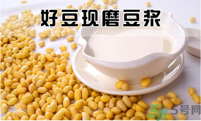现磨豆浆的做法和配方,怎样磨豆浆
