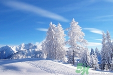 冬天吃冬枣有什么好处,吃冬枣的好处