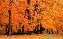 秋燥的症状,秋燥症的表现