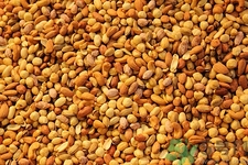 什么是补肾的最好食物,吃什么食物补肾效果最好