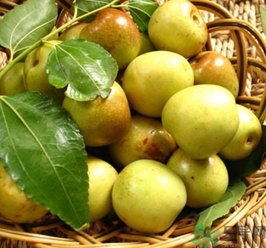 减肥冬枣可以多吃吗,吃冬枣减肥还是增肥