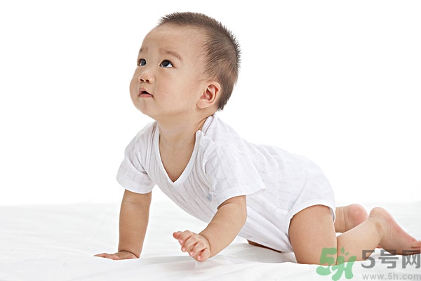 南瓜子怎么吃打虫效果好,南瓜子可以打虫