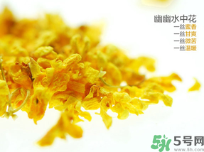 桂花怎样泡水喝,桂花可以直接泡水喝吗