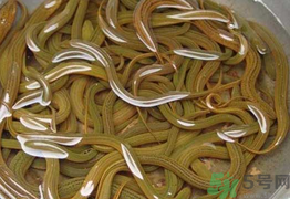 什么食物可以戒酒,吃什么食物有助于戒酒