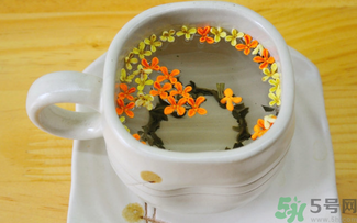 刚摘的桂花可以泡茶吗,刚摘下来的桂花能泡茶喝吗?