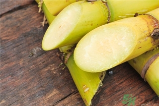 甘蔗的营养价值和功效,甘蔗的营养价值和食用功效 甘蔗的营养价值和功效,甘蔗的营养价值和食用功效