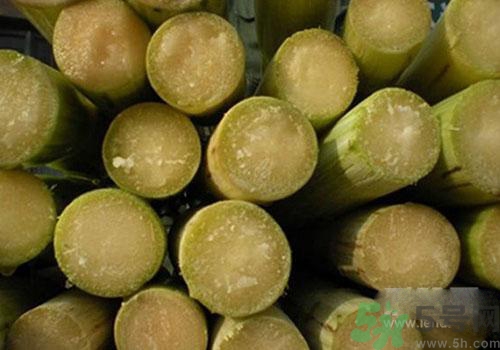 甘蔗可以放冰箱,甘蔗可以放冰箱里保存吗