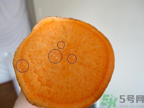 红薯发芽还能吃吗,土豆发芽还能吃吗