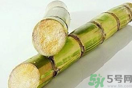 血糖偏高的人可以吃甘蔗吗,高血糖的人能吃甘蔗吗