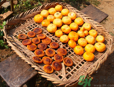 柿饼的作用和功效,柿子的功效和作用