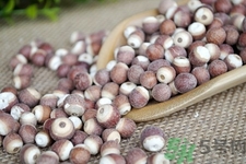 芡实怎么吃补肾效果最好,芡实怎么吃最好