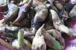 菱角壳煮水喝有什么功效,菱角壳煮水喝的副作用 菱角壳煮水喝有什么功效,菱角壳煮水喝的副作用