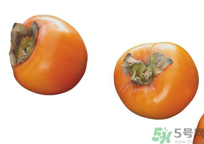 柿子能炒着吃吗,煮熟的柿子能吃吗