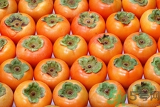 哺乳期可以吃脆柿子吗,母乳期能吃脆柿子吗