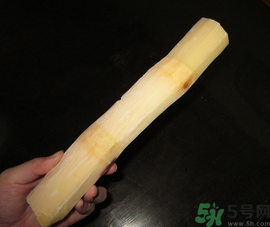 甘蔗放冰箱可以放多久,甘蔗能放冰箱里多久